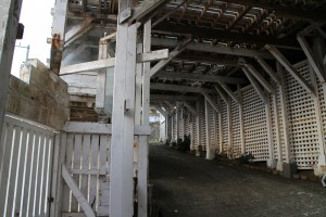 IMG_5435