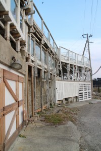 IMG_5447