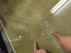 IMG_0011