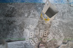 IMG_6921