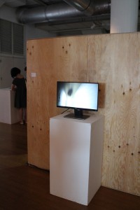 IMG_7436