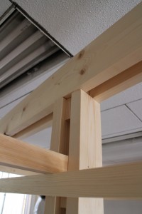 IMG_7919