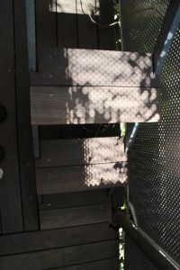 IMG_8050