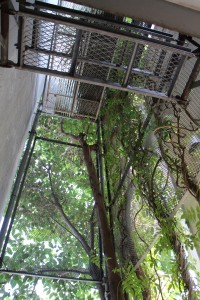 IMG_8058