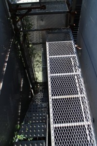 IMG_8067
