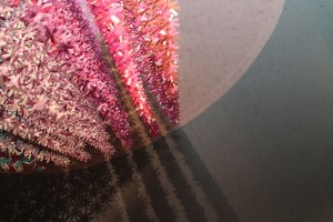 img_0603