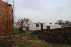 img_0618