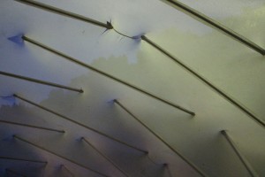 img_0918