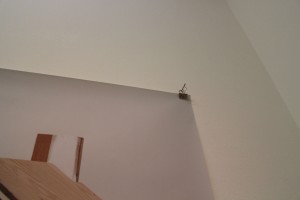 img_1101
